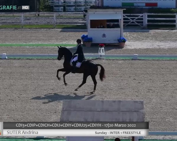 Video di Del Curto