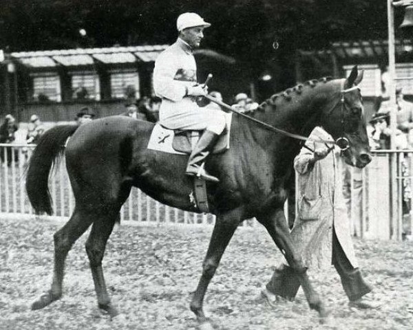 stallion Vatellor xx (Thoroughbred, 1933, from Vatout xx)