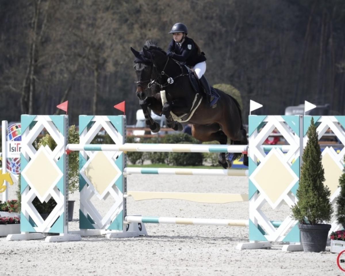 Jumper Tornado (Holsteiner, 2008, from Casquetto)