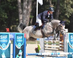 stallion Hell de Talma (Selle Français, 2017, from Ogrion des Champs)