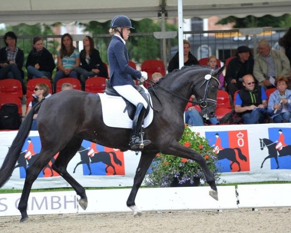 broodmare Deja-vu 30 (Oldenburg, 2008, from De Niro)