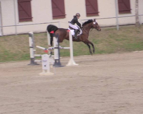 Reitturnier Lgl.-Oberhain, B95 2022