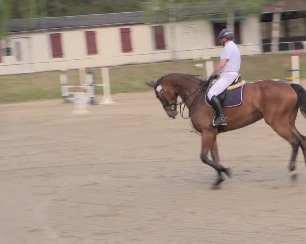 Reitturnier Lgl.-Oberhain, B95 2022