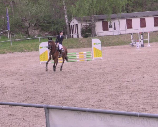 Reitturnier Lgl.-Oberhain, B95 2022