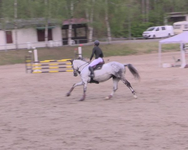 Reitturnier Lgl.-Oberhain, B95 2022