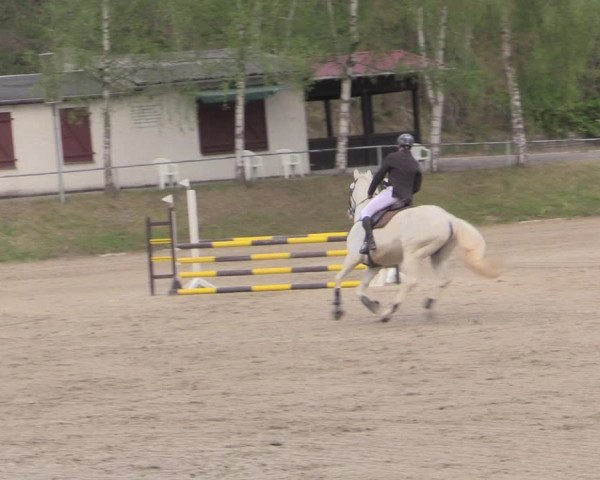 Reitturnier Lgl.-Oberhain, B95 2022