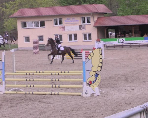 Reitturnier Lgl.-Oberhain, B95 2022