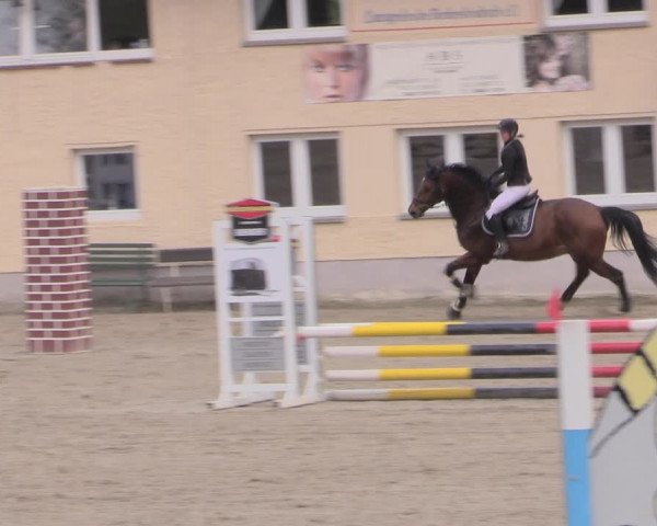 Reitturnier Lgl.-Oberhain, B95 2022
