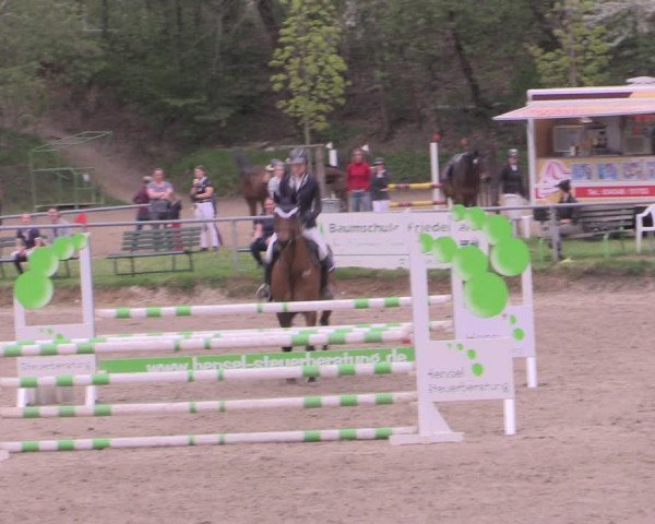 Reitturnier Lgl.-Oberhain, B95 2022