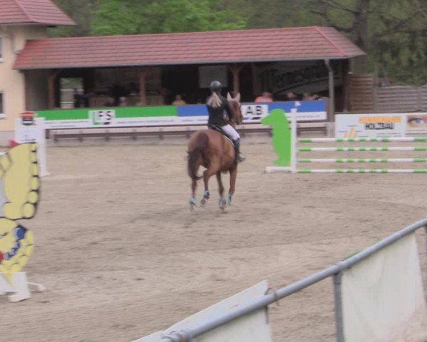Reitturnier Lgl.-Oberhain, B95 2022