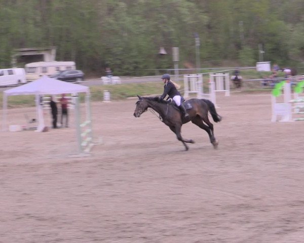 Reitturnier Lgl.-Oberhain, B95 2022