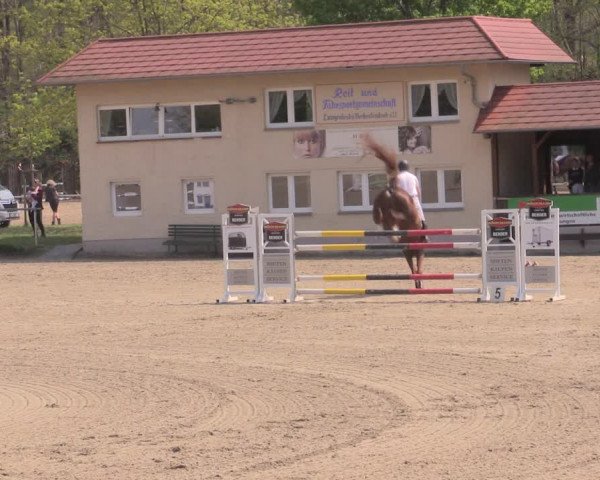 Reitturnier Lgl.-Oberhain, B95 2022