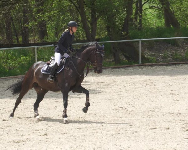 Reitturnier Karlsfeld 2022