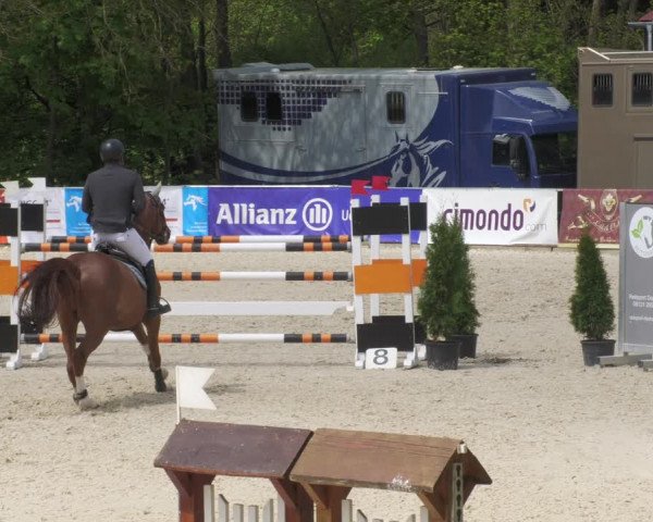 Reitturnier Karlsfeld 2022