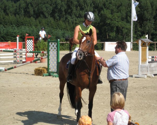 broodmare Colleta (Oldenburg, 2006, from Cracker Jack 5)