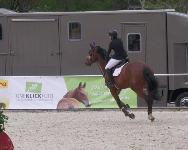 Reitturnier Karlsfeld 2022