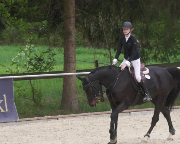 Reitturnier Karlsfeld 2022