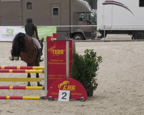 Reitturnier Karlsfeld 2022