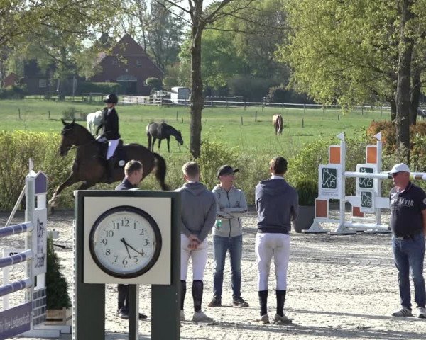 Reitturnier Lemwerder 2022