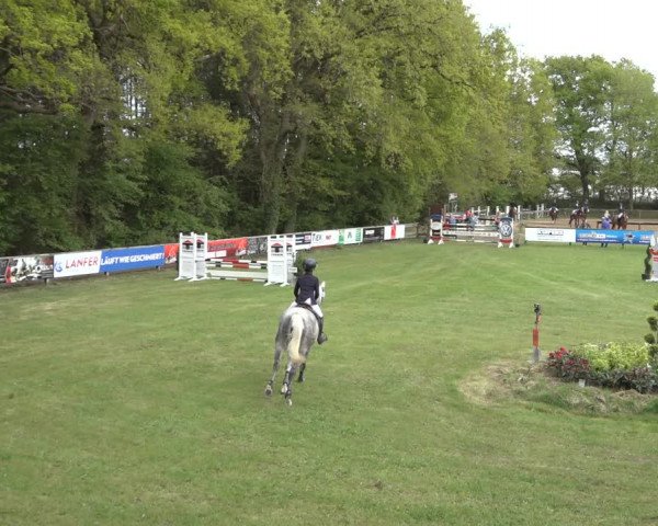 Reitturnier Meppen 2022