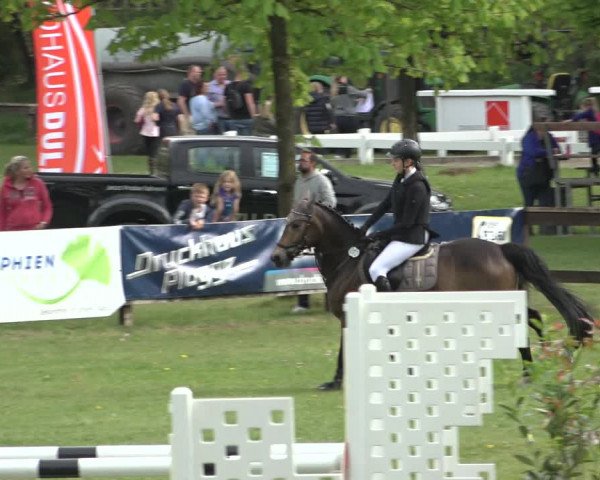 Reitturnier Meppen 2022