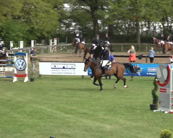 Reitturnier Meppen 2022