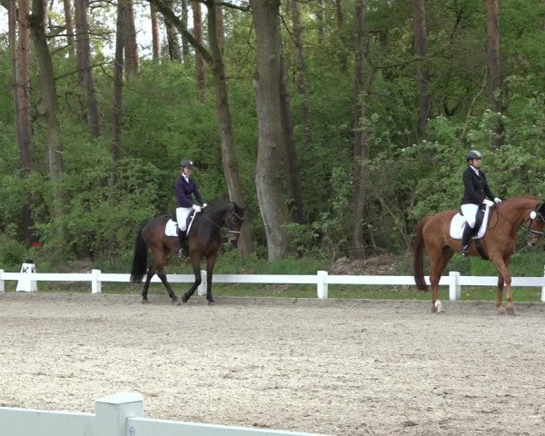 Reitturnier Meppen 2022