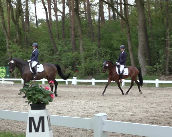 Reitturnier Meppen 2022