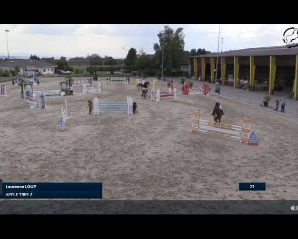 Reitturnier Müntschemier 2022