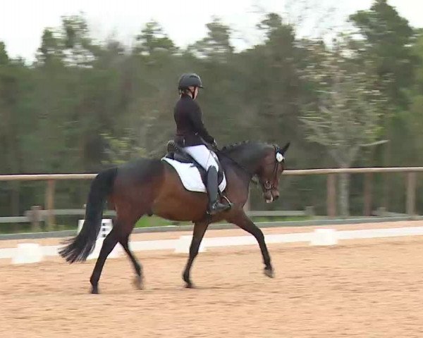 Reitturnier Kreuth/Opf. 2022