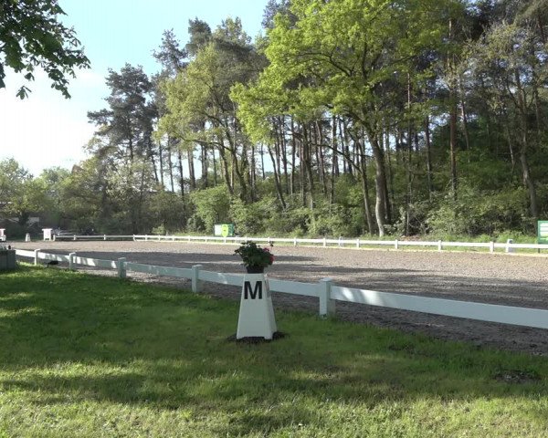 Reitturnier Meppen 2022