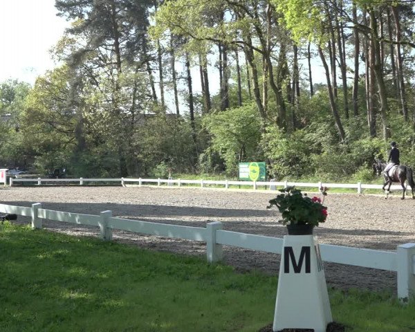 Reitturnier Meppen 2022