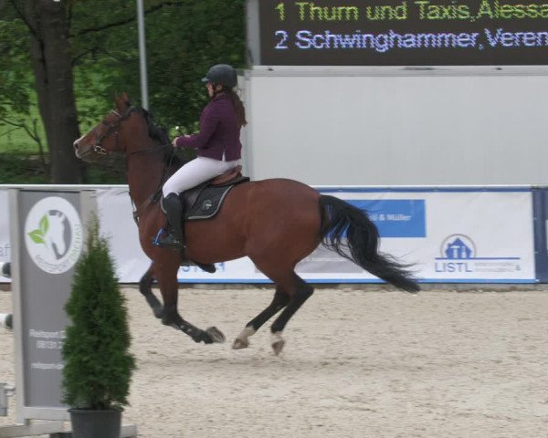 Reitturnier Karlsfeld 2022