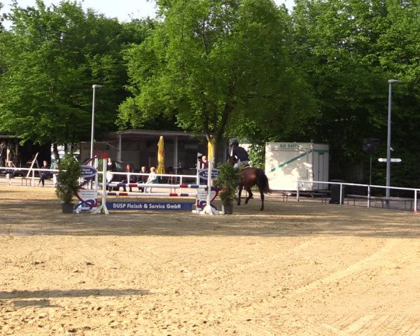 Reitturnier Dinslaken-Hiesfeld 2022
