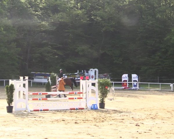 Reitturnier Dinslaken-Hiesfeld 2022