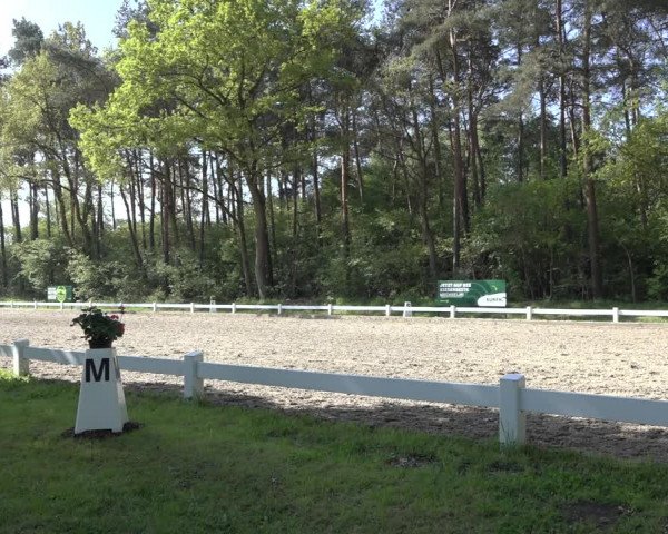 Reitturnier Meppen 2022