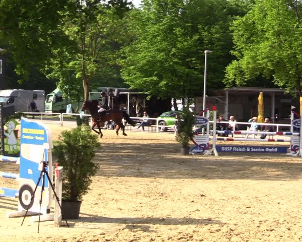 Reitturnier Dinslaken-Hiesfeld 2022