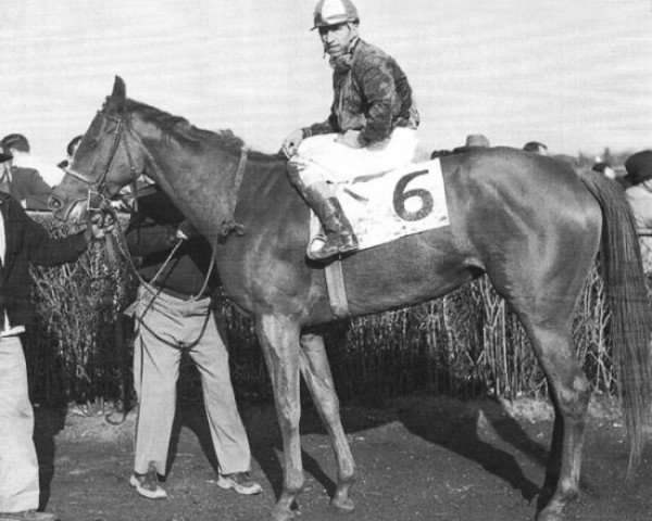 broodmare Exclusive xx (Thoroughbred, 1953, from Shut Out xx)