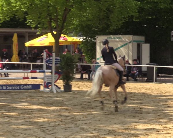 Reitturnier Dinslaken-Hiesfeld 2022