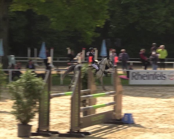 Reitturnier Dinslaken-Hiesfeld 2022
