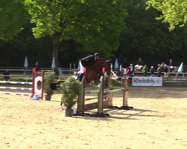 Reitturnier Dinslaken-Hiesfeld 2022