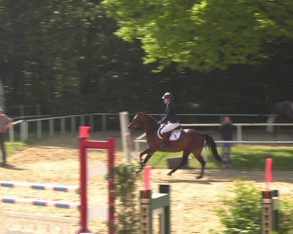 Reitturnier Dinslaken-Hiesfeld 2022