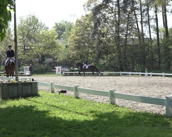Reitturnier Meppen 2022