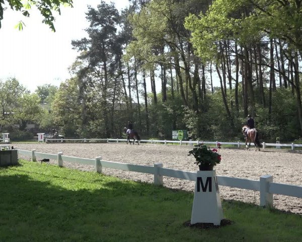Reitturnier Meppen 2022