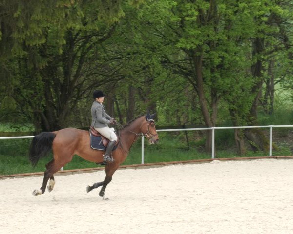 Reitturnier Karlsfeld 2022