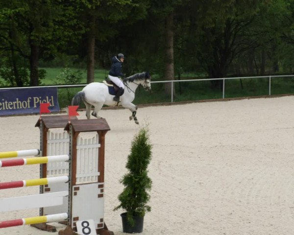 Reitturnier Karlsfeld 2022