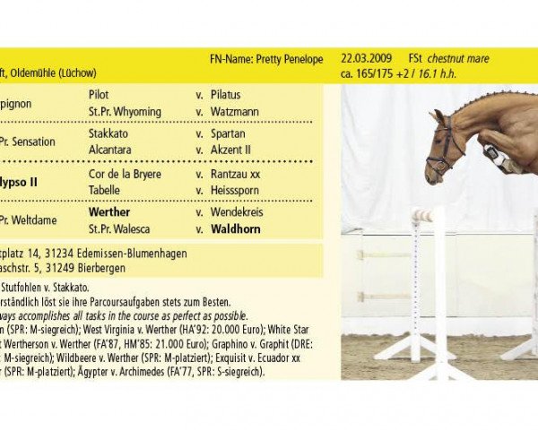 broodmare Penelope PJ (Hanoverian, 2009, from Perigueux)