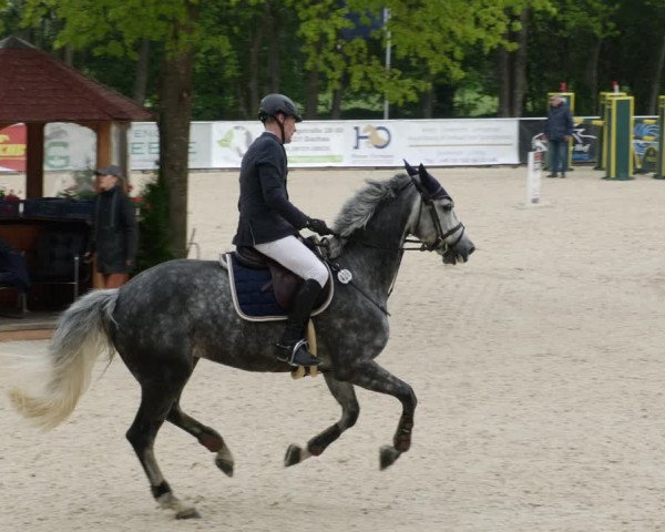 Reitturnier Karlsfeld 2022