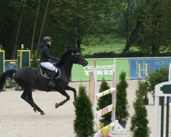 Reitturnier Karlsfeld 2022