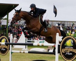 jumper Nice Stephanie (Swedish Warmblood, 2004, from VDL Cardento 933)